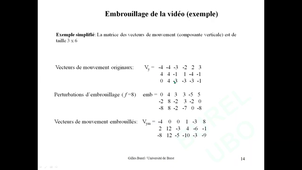 9VNM2  / M2 ST+TRC / Vidéo Numérique / Chap 2: Tatouage et Embrouillage de la Vidéo