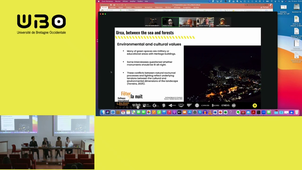 Colloque Noz Breizh : Designing ecological networks in the urban nocturnal landscapes