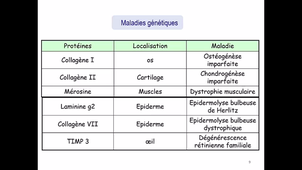 Partie 5 - Quelques pathologies associées