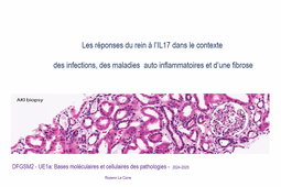 Partie 8 - Les réponses du rein à l'IL17 dans le contexte des infections, des maladies auto inflammatoires et d'une fibrose