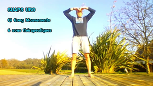 Qi Gong Mouvements des 6 sons thérapeutiques.mp4