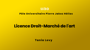 Licence Droit-Marché de l'art - Tania Levy