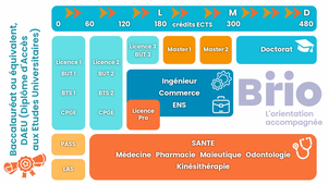 Présentation générale des études supérieures