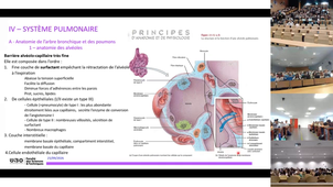 video-C GOANVEC.m4v