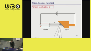 Cours PASS de P-Y LE ROUX biophysique