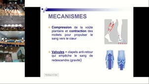 Cours Dr Sassolas 2026-09-15